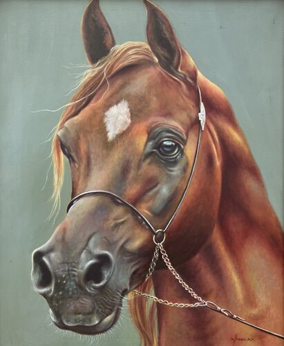 Caballo Árabe de Moscoso, Pintura a la venta en Singulart
