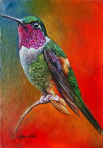 Colibrí del Cajas de Moscoso, Pintura a la venta en Singulart