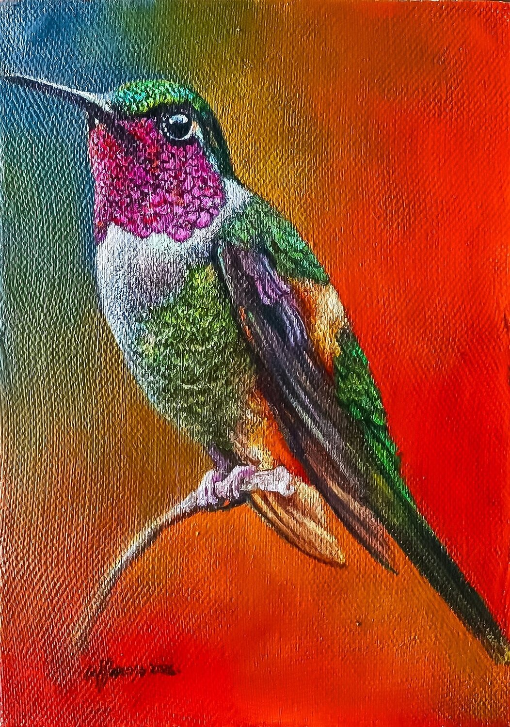 Colibrí del Cajas Moscoso Pintura original en venta