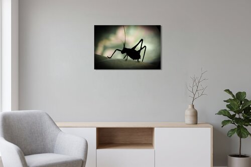 Hopper di Guido Lucker, Fotografia in vendita su Singulart