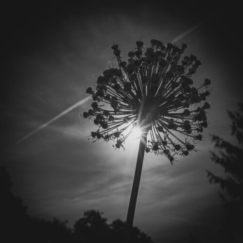 Zäsur von Guido Lucker, Fotografie kaufen auf Singulart