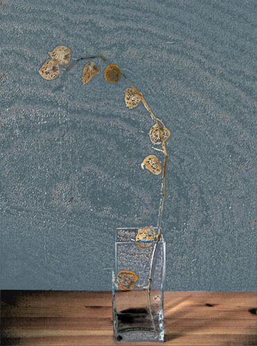 Fleurs fanées by Youssef Amghar, Photography for Sale on Singulart