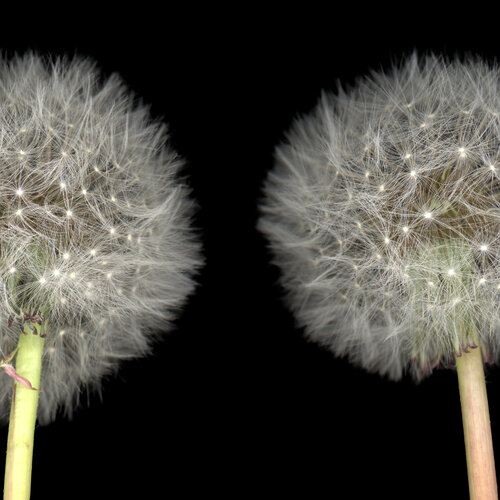 Before the Wind par Luis Fernandez, Photographie en vente sur Singulart