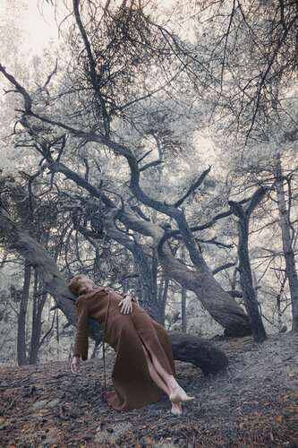 Sparkle of light de Ariane A.T. James, Fotografía a la venta en Singulart