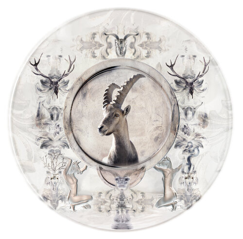 Bouquetin by Didier karen Michalet Firdmann, Photography for Sale on Singulart