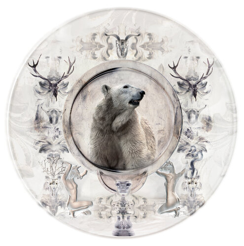 Ours blanc by Didier karen Michalet Firdmann, Photography for Sale on Singulart
