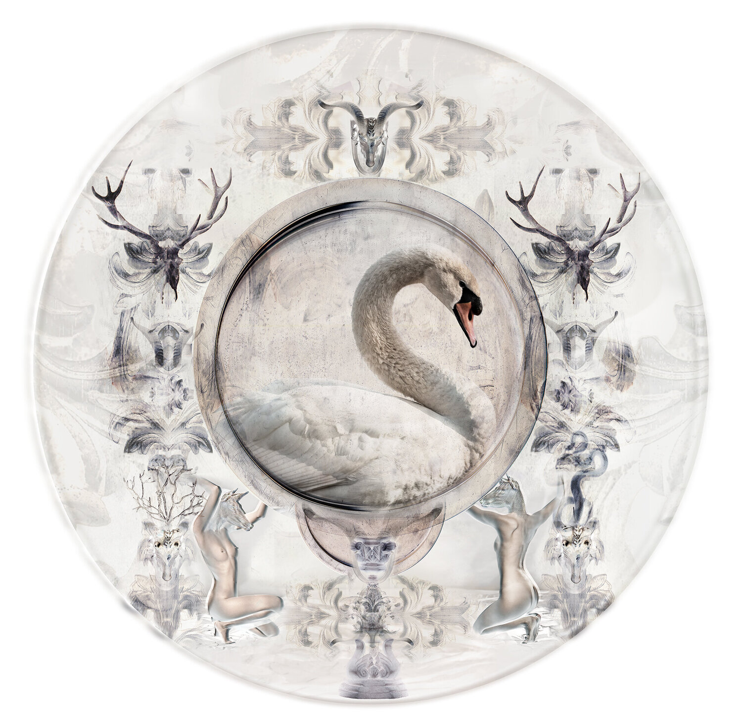 Cygne Didier karen Michalet Firdmann Fotografie zu verkaufen