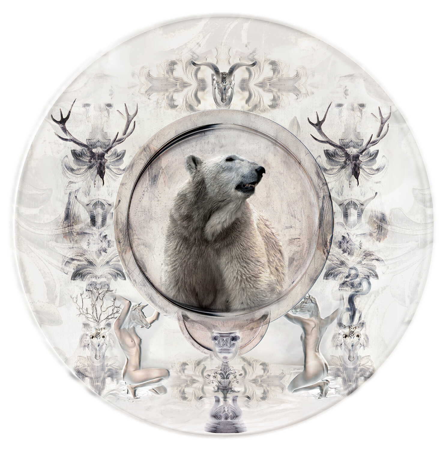 Ours blanc Didier karen Michalet Firdmann Fotografie zu verkaufen