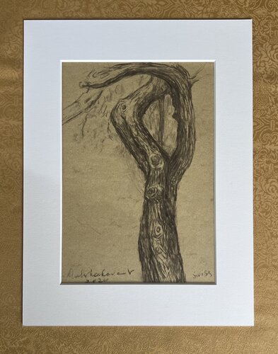 Old pine.Switzerland. von Victoria Malshakova, Zeichnungen kaufen auf Singulart