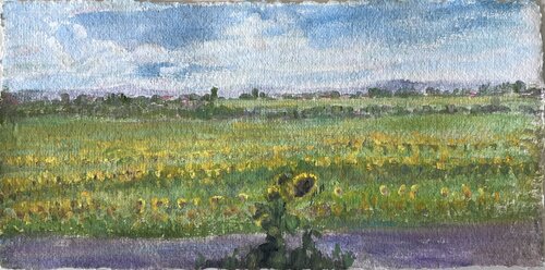 Sunflowers field. von Victoria Malshakova, Malerei kaufen auf Singulart