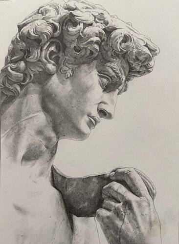 Graphite Study of David di Alisa Kolosova, Disegno in vendita su Singulart