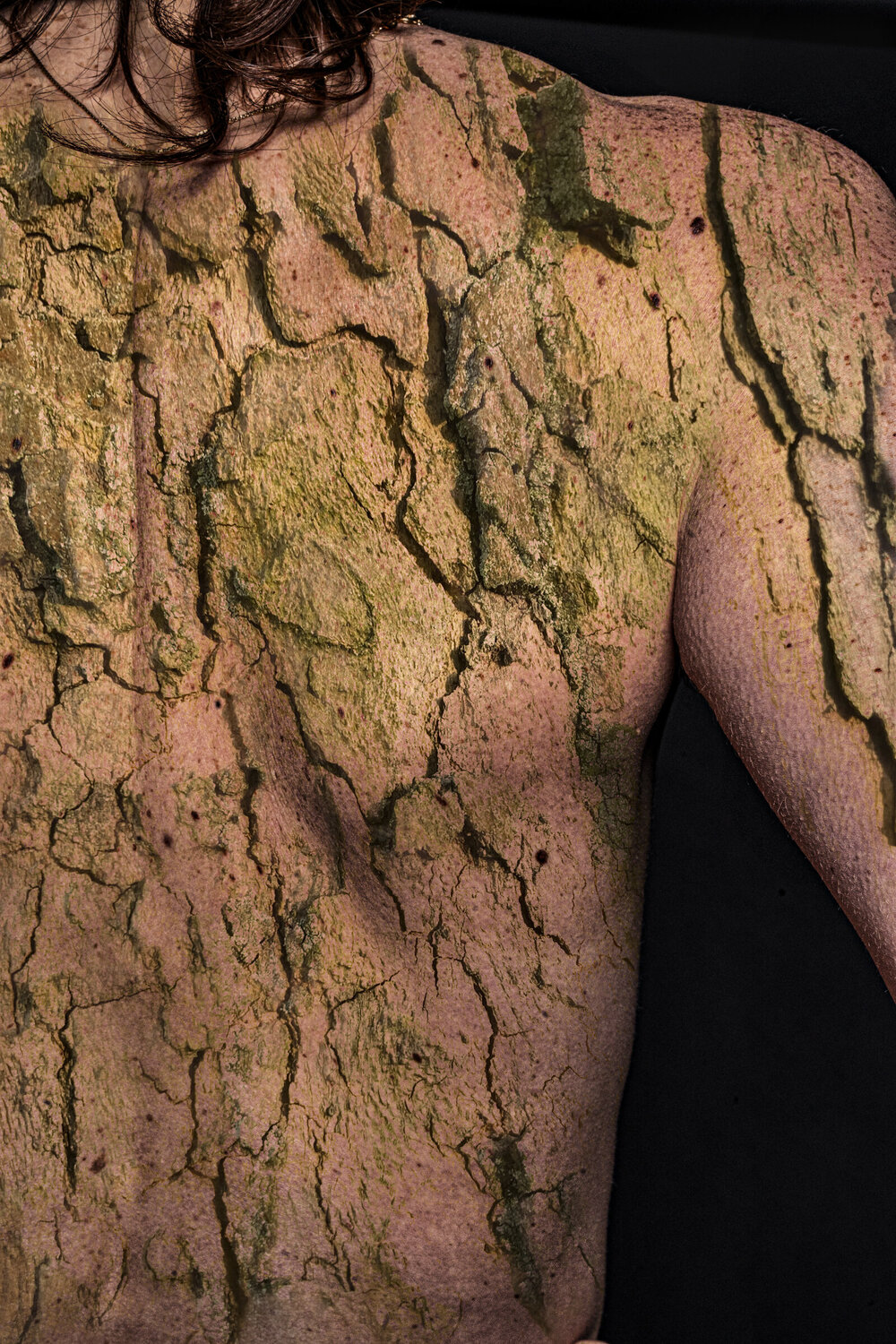 Cortex/On the Mend Veronika Casarova Fotografia in vendita