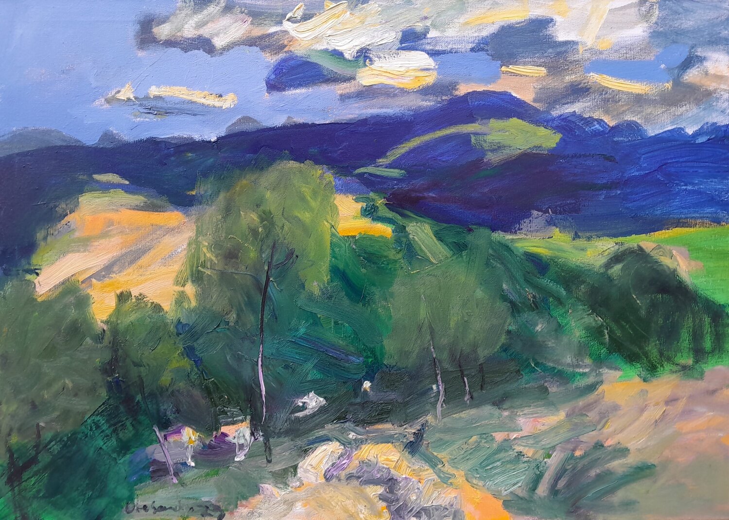 "The mountain wind was driving the clouds along" Oleksandr Vynnyk Originalgemälde zu verkaufen