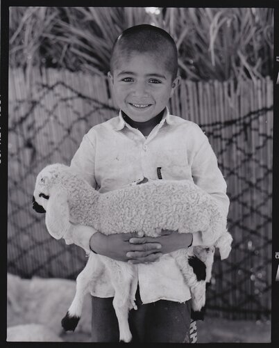 Boy with lamb van Mamad Mossadegh, Fotografie te koop op Singulart