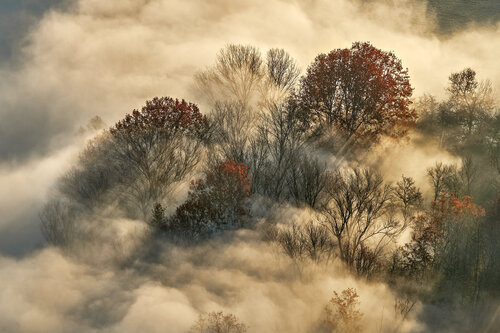 Last autumn colors by Franco Fratini, Photography for Sale on Singulart