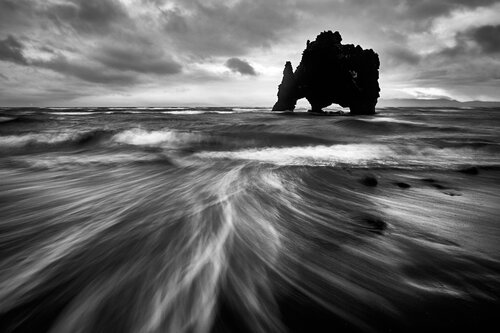 Sea monster by Franco Fratini, Photography for Sale on Singulart