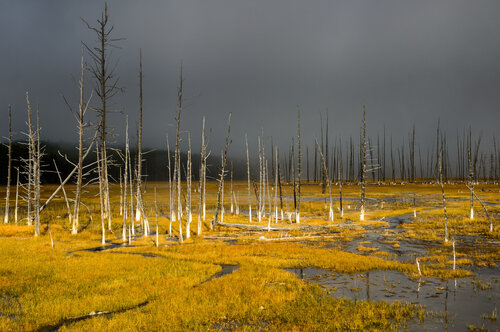 Spectral landscape by Franco Fratini, Photography for Sale on Singulart