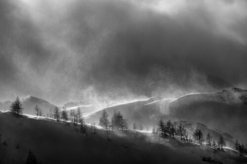 Winter storm von Franco Fratini, Fotografie kaufen auf Singulart