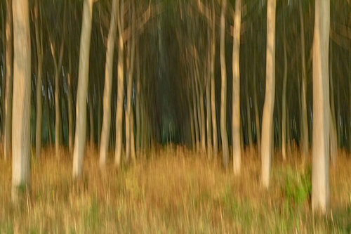 Painted wood by Franco Fratini, Photography for Sale on Singulart
