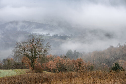 Autumn in Tuscany by Franco Fratini, Photography for Sale on Singulart