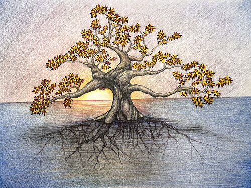Tree of Life by Shaun McNicholas, Work on Paper for Sale on Singulart