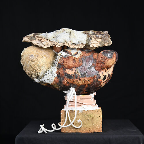 "Foetus' of my doghter by Jan Declercq, 彫刻 for Sale on Singulart