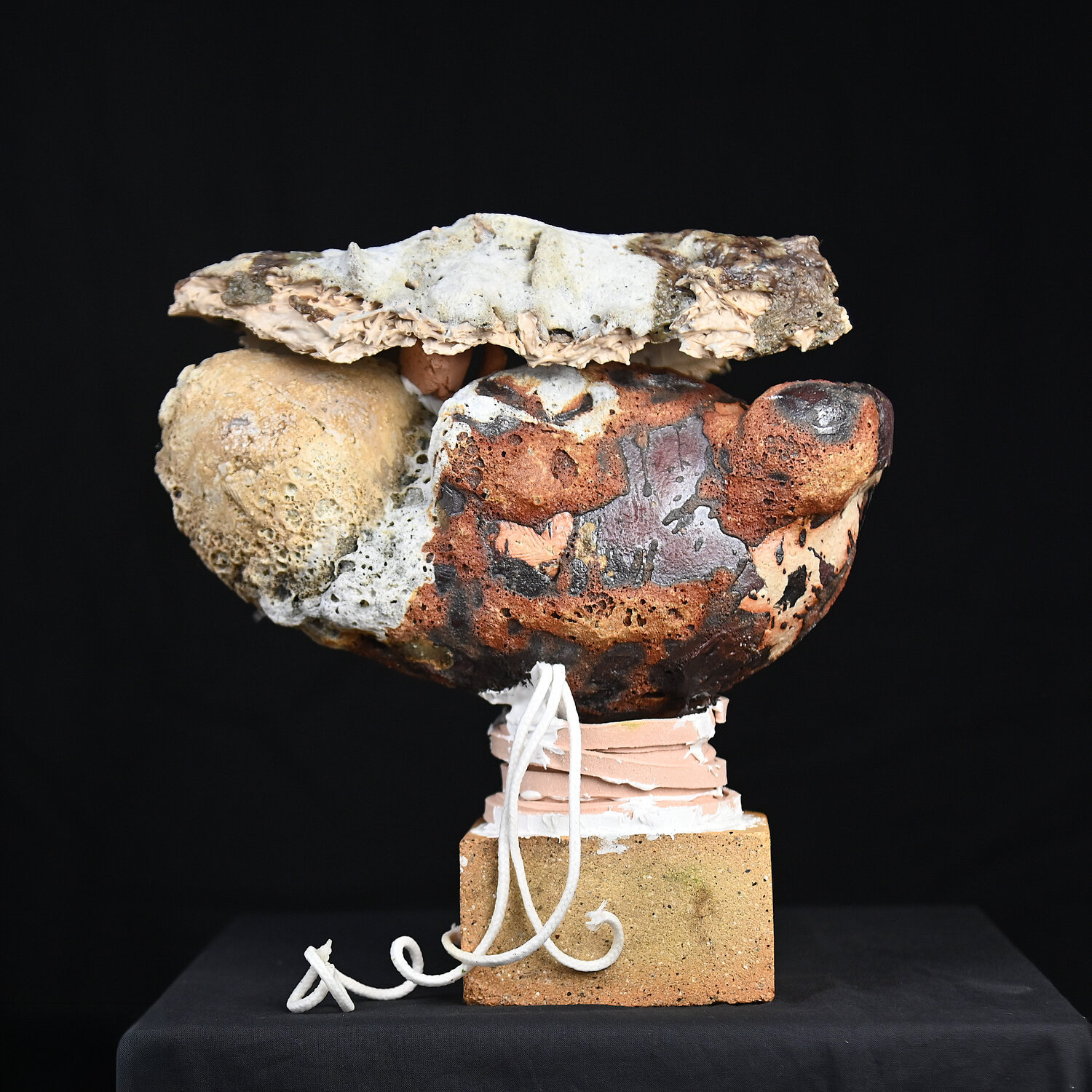 "Foetus' of my doghter Jan Declercq Sculpture à vendre
