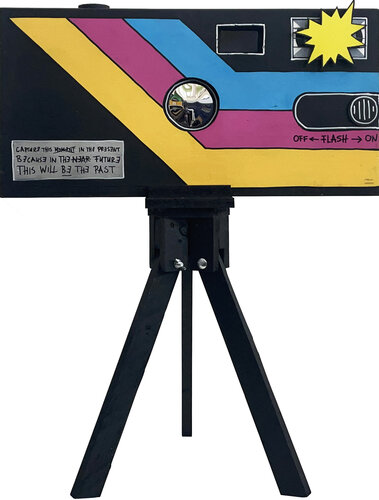 DISPOSABLE CAMERA #2 van Frank Willems, Schilderij te koop op Singulart