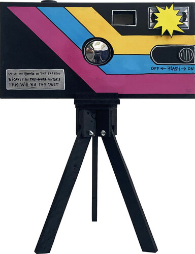 DISPOSABLE CAMERA #3 di Frank Willems, Pittura in vendita su Singulart