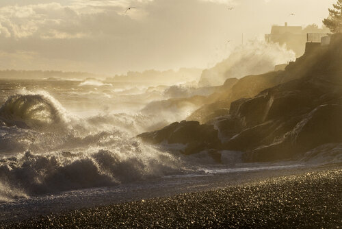 One Wave van Laurie Swope, Fotografie te koop op Singulart