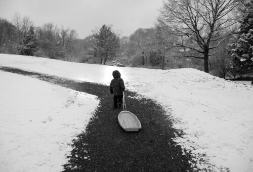 Path by Laurie Swope, Photography for Sale on Singulart