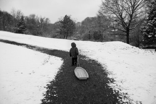 Path di Laurie Swope, Fotografia in vendita su Singulart