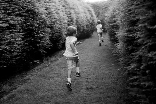 Lost by Laurie Swope, Photography for Sale on Singulart