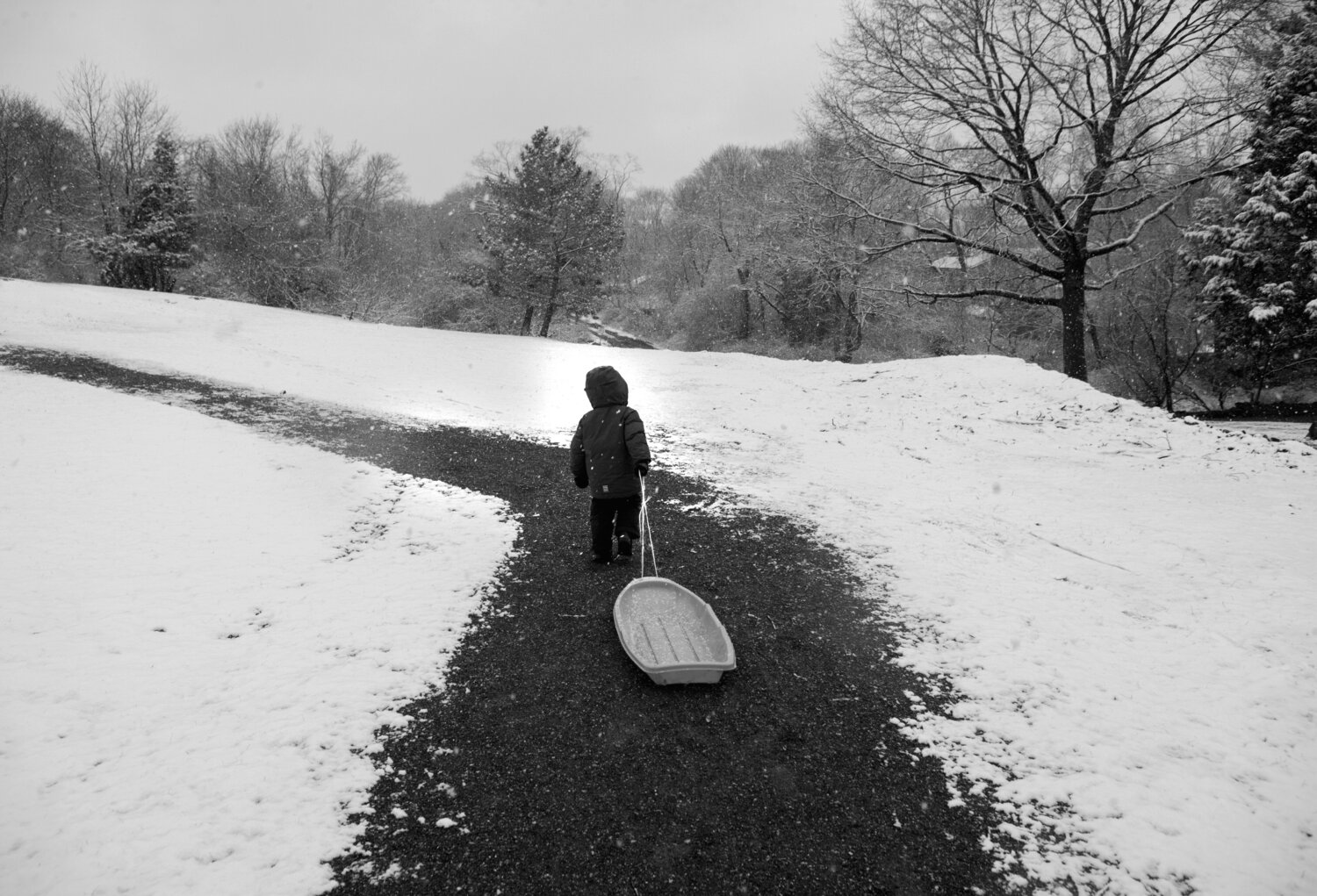 Path Laurie Swope Photography for sale