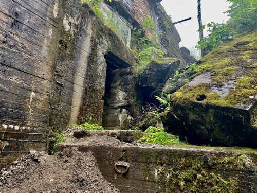 Wolfs Lair 4 by Mac Konopka, デジタル for Sale on Singulart