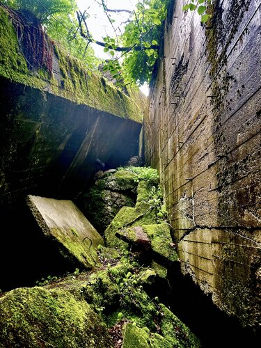 Wolf's Lair, Hitler's bunker by Mac Konopka, デジタル for Sale on Singulart