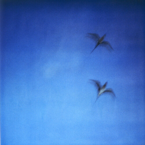 Searching for Klein Blue by Luciana Napchan, Photography for Sale on Singulart