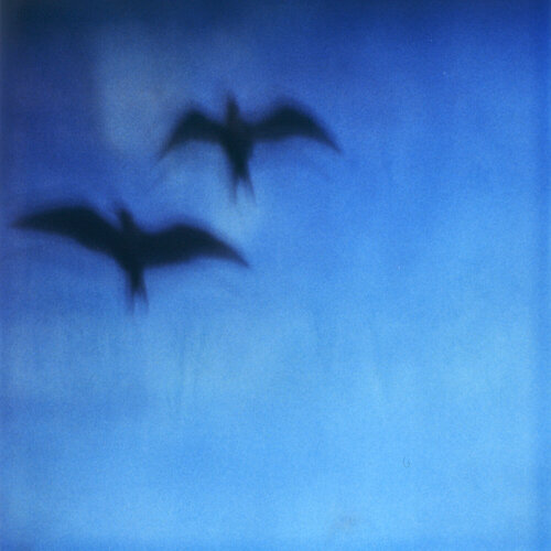 Searching for Klein Blue by Luciana Napchan, Photography for Sale on Singulart
