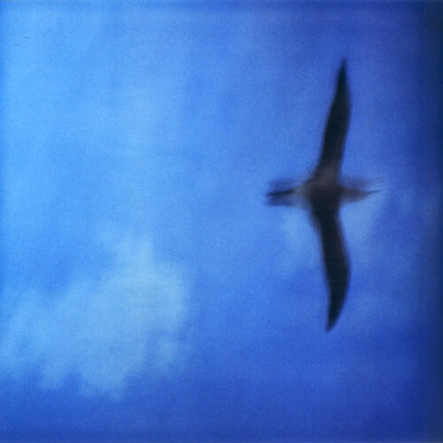 Searching for Klein Blue by Luciana Napchan, Photography for Sale on Singulart