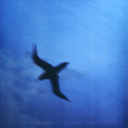 Searching for Klein Blue by Luciana Napchan, Photography for Sale on Singulart