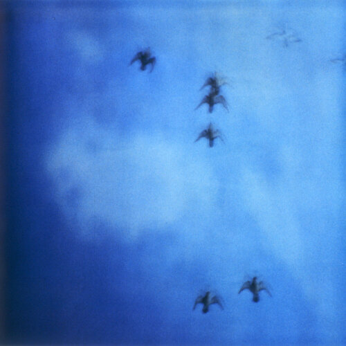 Searching for Klein Blue by Luciana Napchan, Photography for Sale on Singulart