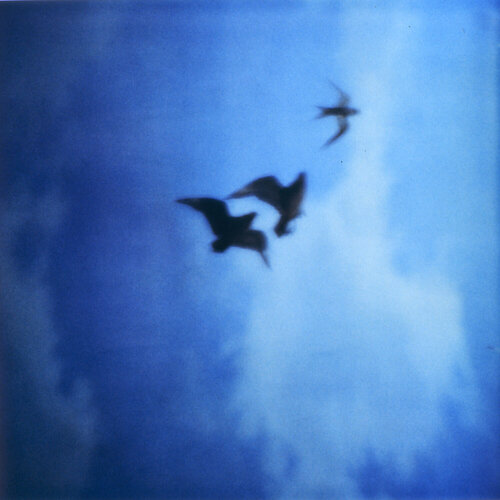 Searching for Klein Blue by Luciana Napchan, Photography for Sale on Singulart