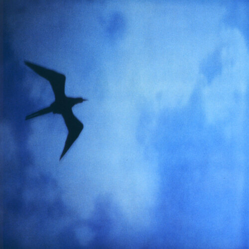 Searching for Klein Blue by Luciana Napchan, Photography for Sale on Singulart