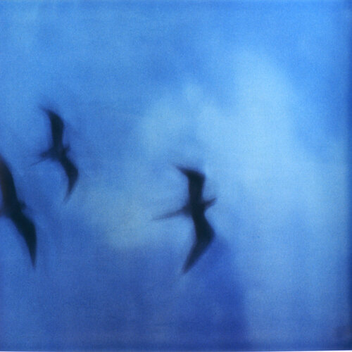Searching for Klein Blue by Luciana Napchan, Photography for Sale on Singulart