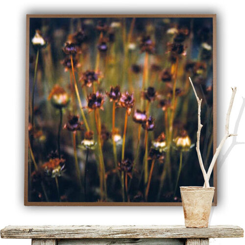 A Monet by Luciana Napchan, Photography for Sale on Singulart