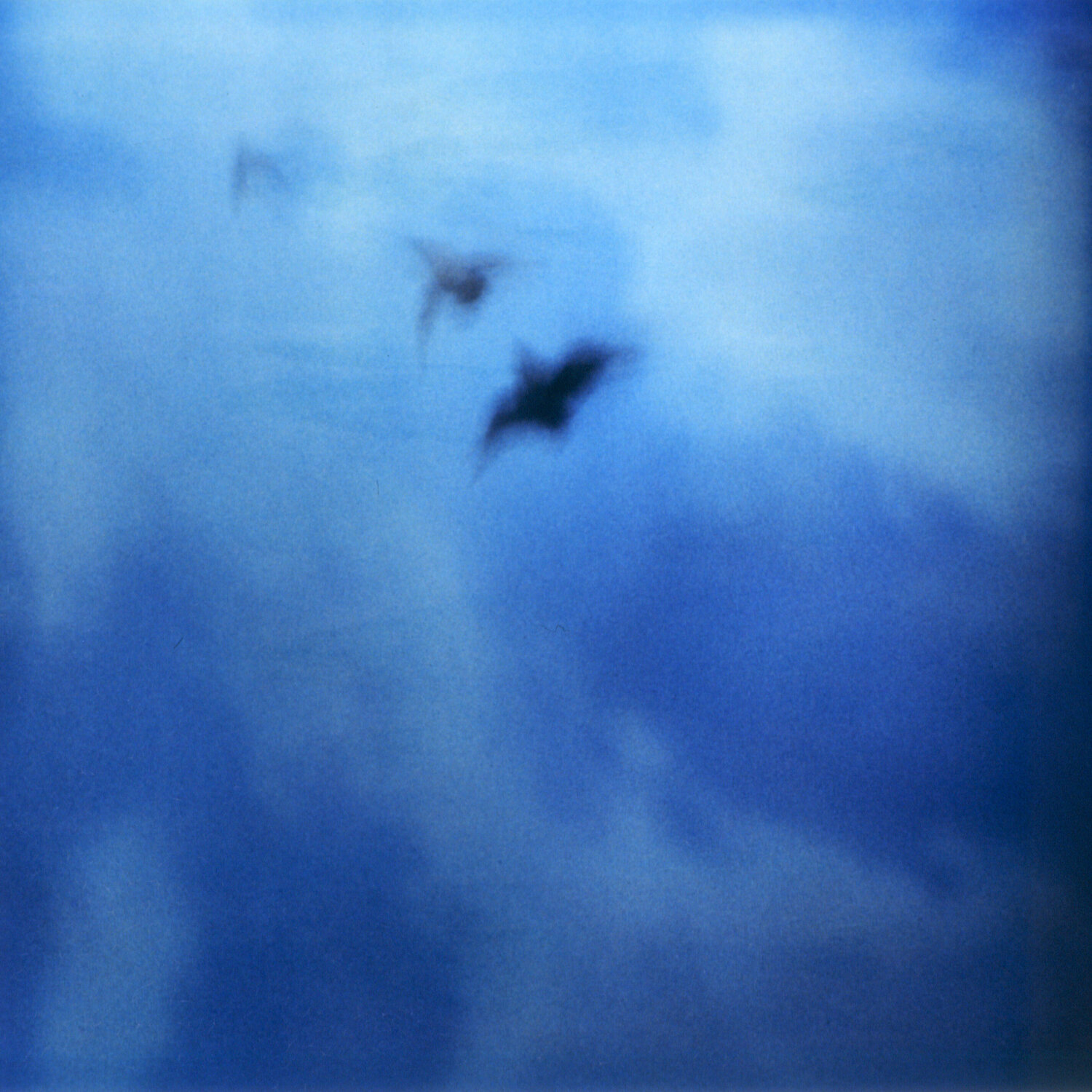Searching for Klein Blue Luciana Napchan Photography for sale