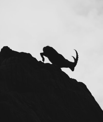 Salto en la Sombra by Santiago Riviere, Photography for Sale on Singulart