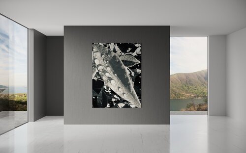 Umbra | Limited Master Edition von Alba Lev, Fotografie kaufen auf Singulart