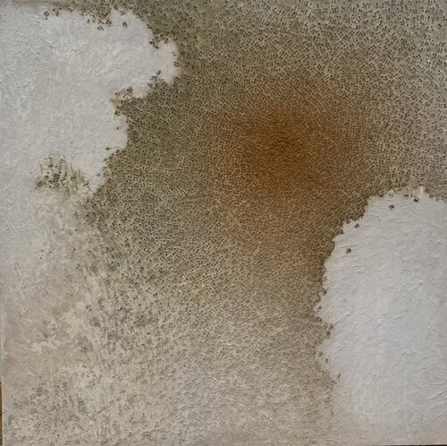 Terra di Fiume - Manaus by Mara Fabbro, 絵画 for Sale on Singulart