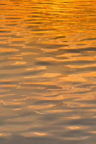 Ripples (II) by Sajjad Ahmed, Print for Sale on Singulart